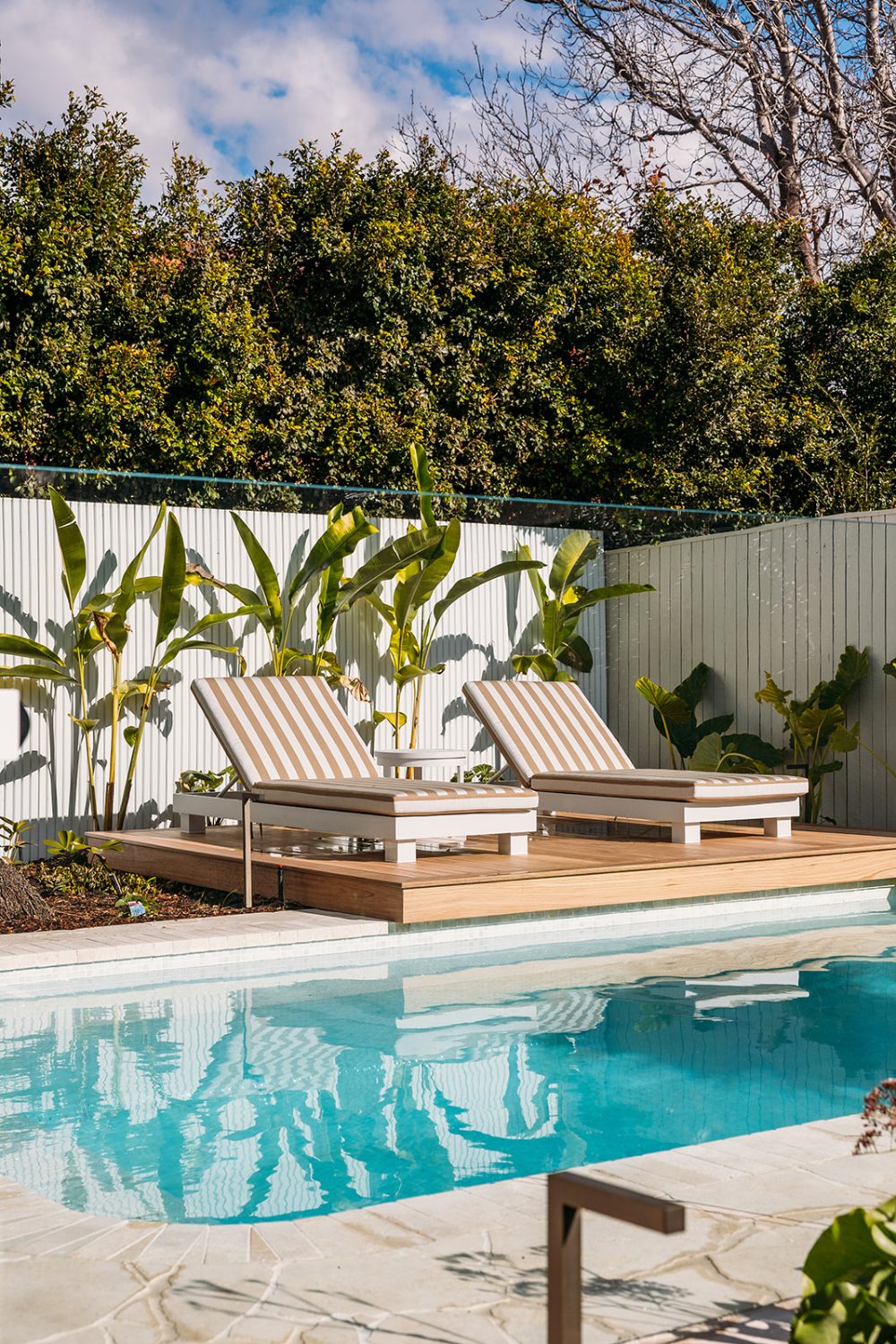 Hamilton South courtyard swimming pool built by Newy Pool Co